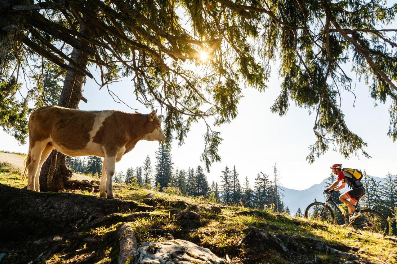 Pension Bergblick Ruhpolding Bagian luar foto